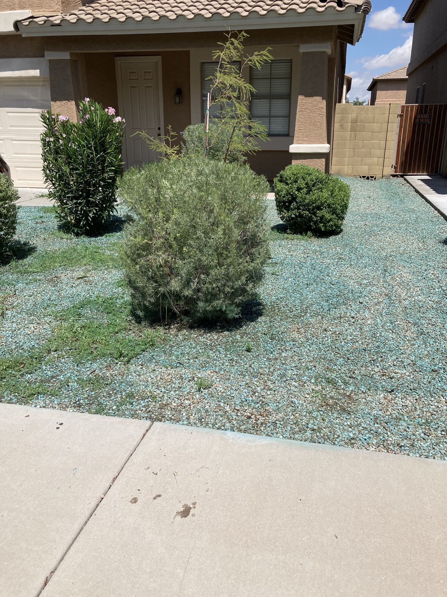 Desert yard maintenance