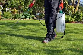 Weed control treatment