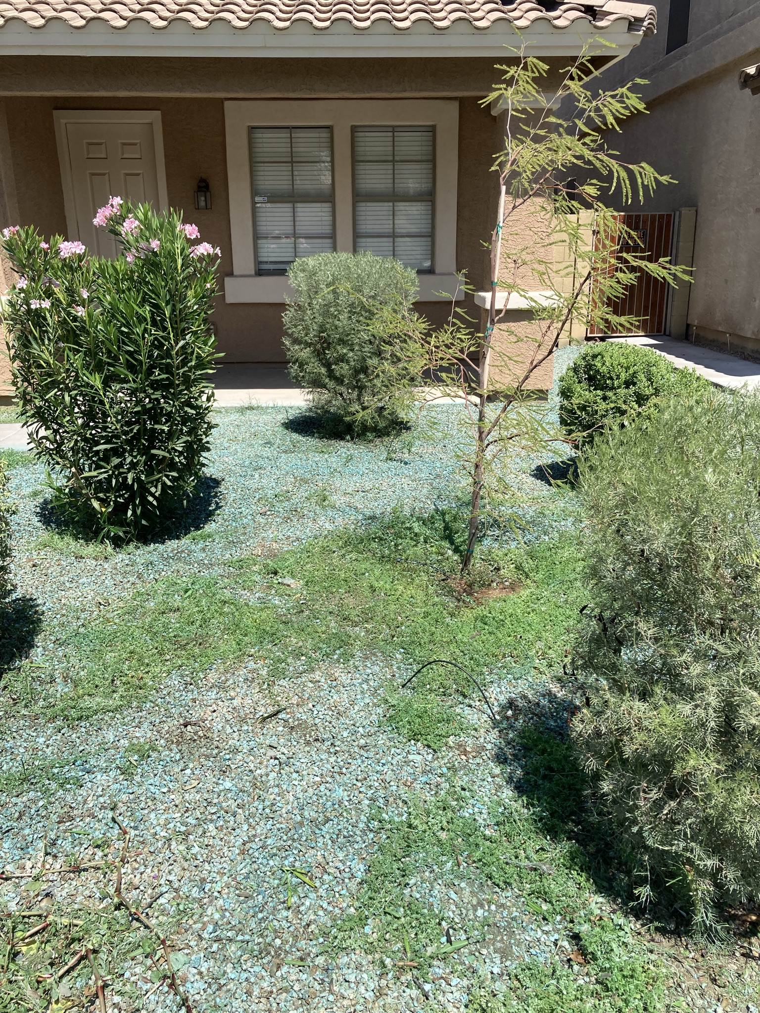 Landscaping before and after